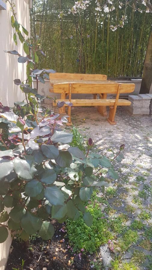Apartment South Gate ザダル エクステリア 写真